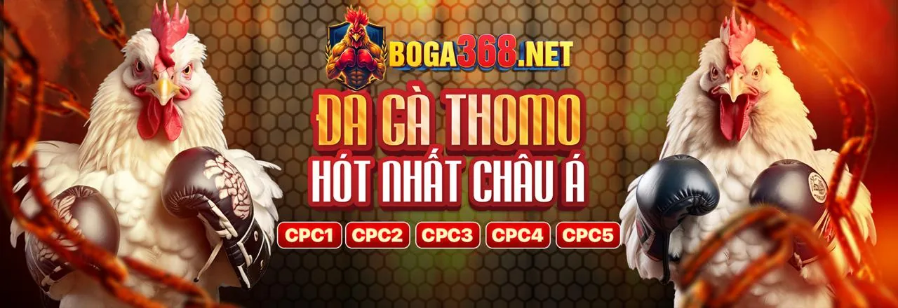 Nền tảng iq88 win cam kết cờ bạc có trách nhiệm