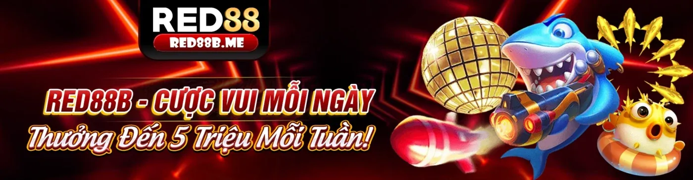 Cá cược thể thao iq88 win với không khí sôi động và các trận đấu đỉnh cao